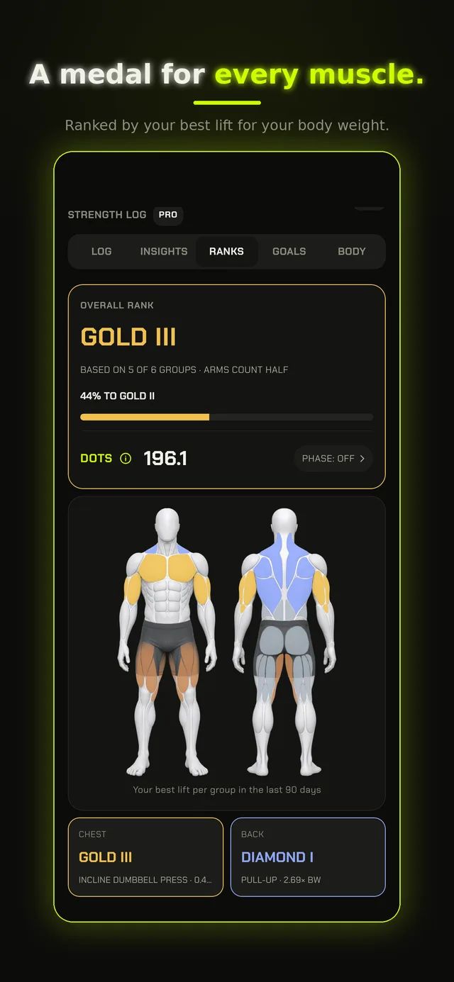 Strength ranks: a medal for every muscle group, ranked for body weight, with DOTS score